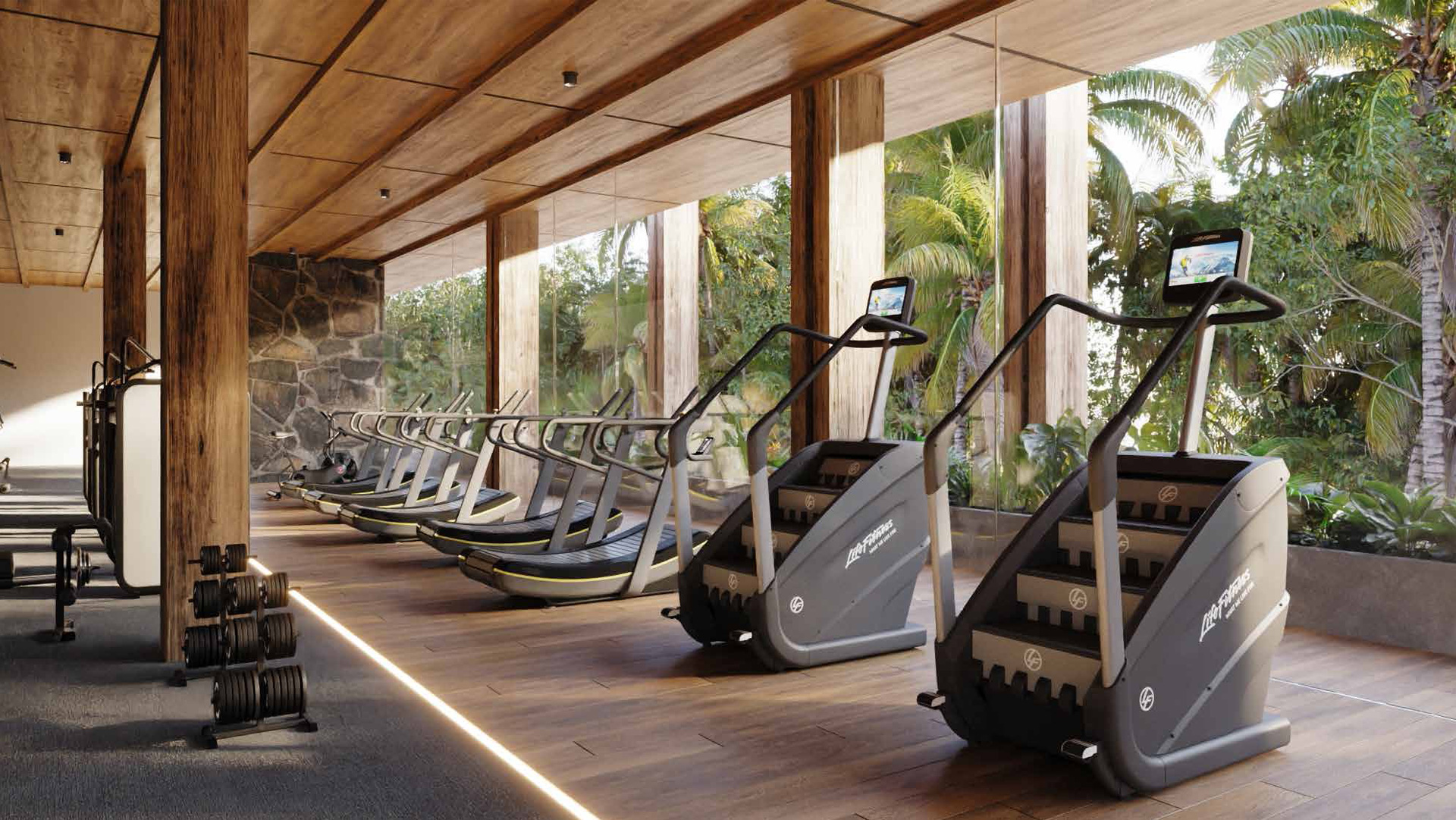 Gimnasio